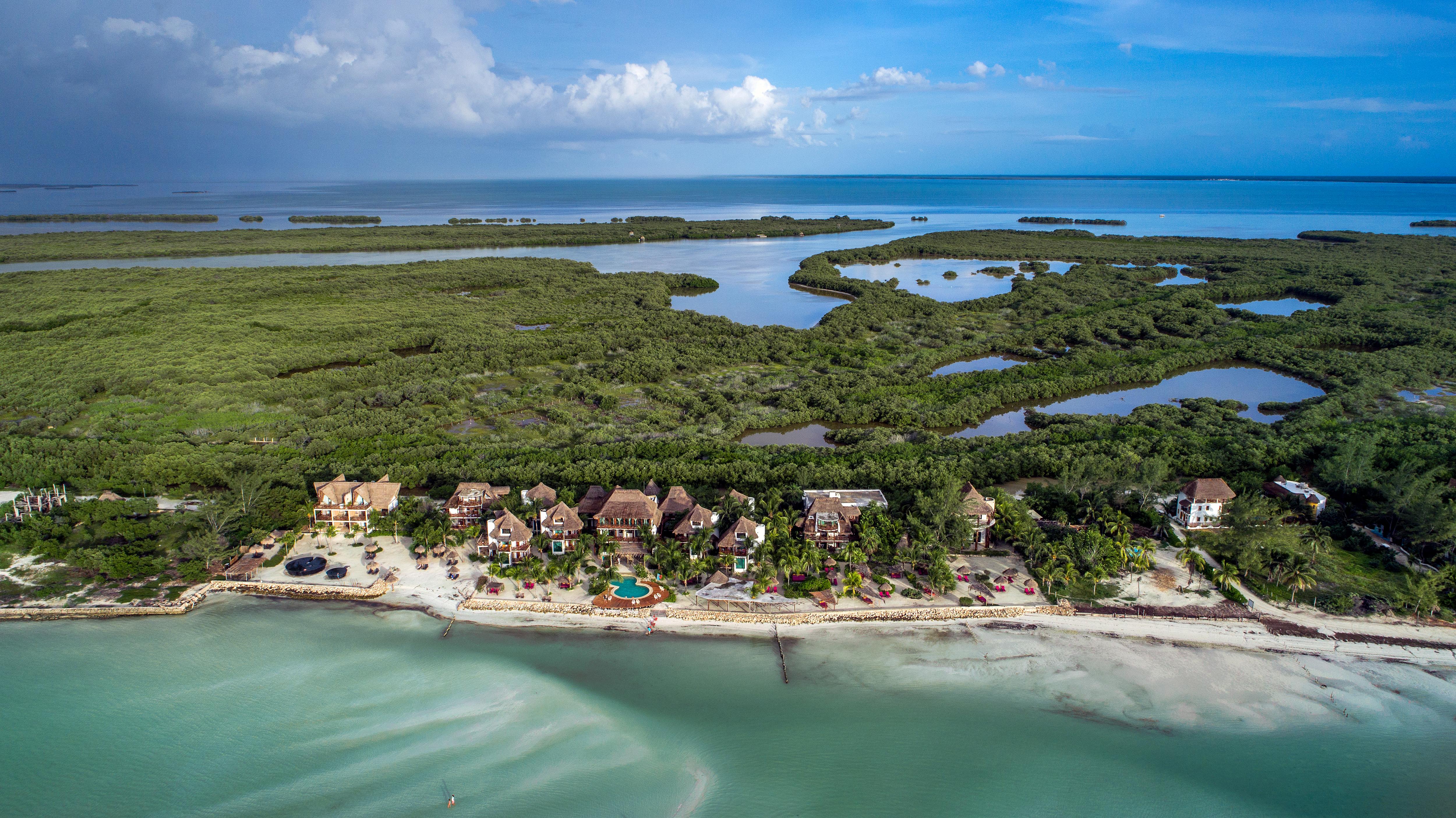 Flamingos Ilha Holbox